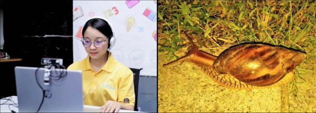 乘風(fēng)破浪的胡靜、董璇都點(diǎn)贊 “明星同款”豌豆思維有多全能？