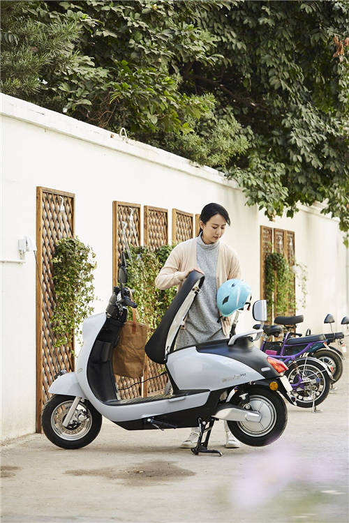行業(yè)洞見：2020年電動(dòng)車銷量排行，愛瑪憑實(shí)力榜上爭(zhēng)鳴！