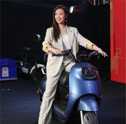 行業(yè)洞見：2020年電動(dòng)車銷量排行，愛瑪憑實(shí)力榜上爭(zhēng)鳴！