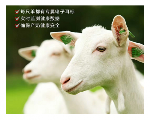 羊奶粉排行首位佳貝艾特，三大優(yōu)勢展現(xiàn)領(lǐng)軍者風(fēng)采