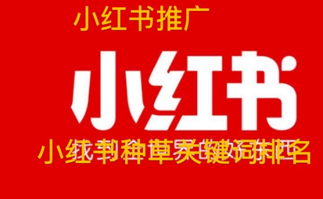 詳解小紅書推廣方式如何引流，小紅書推廣費用一般多少