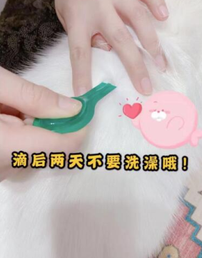 貓咪一定要做好體外驅(qū)蟲! 體外驅(qū)蟲首選小寵虱敵！