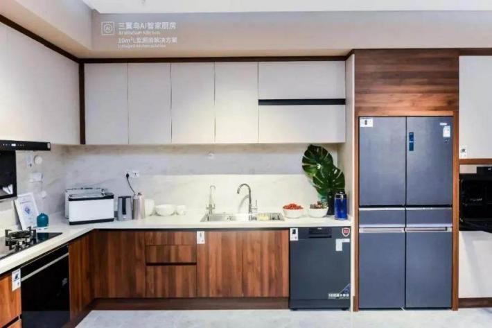 2021冰箱市場(chǎng)：高端、場(chǎng)景成行業(yè)兩大“新賽點(diǎn)”