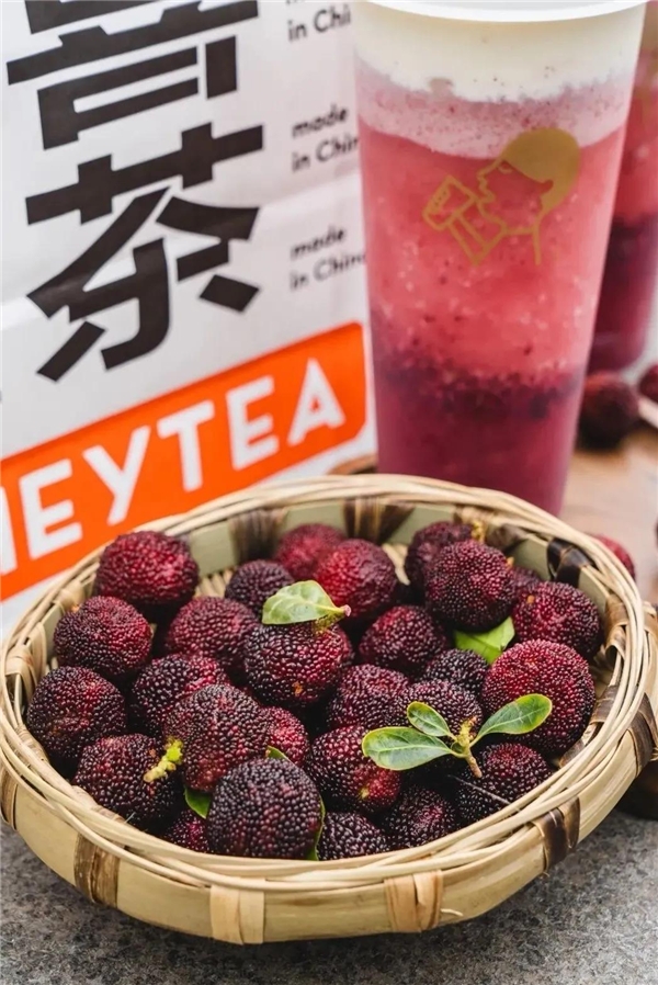 喜茶多肉楊梅回歸 首日售出12萬(wàn)杯憑什么？