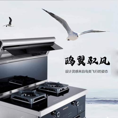 金帝集成灶和洗碗機這兩臺廚房裝修必選神器，你都配齊了嗎