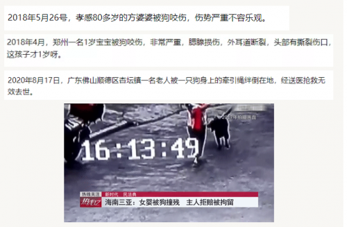 小視科技首發(fā)，遛狗不牽繩算法
