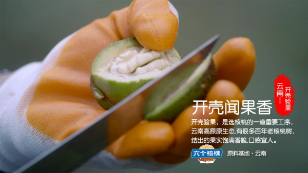 養(yǎng)元飲品六個核桃2430這產品怎么樣？營養(yǎng)專家來安利了