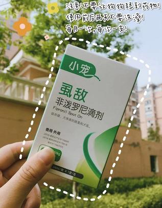 寵物驅蟲必備！體外驅蟲看小寵虱敵