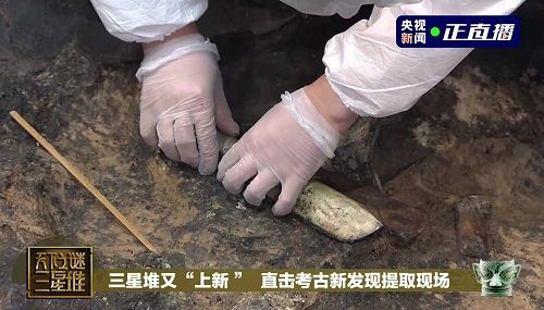 助力三星堆文物存儲(chǔ)，海爾冰箱做了什么？