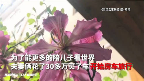 西瓜視頻創(chuàng)作者「三口之家蝸游記」走紅網(wǎng)絡(luò)，六一上演現(xiàn)實版《飛屋環(huán)游記》