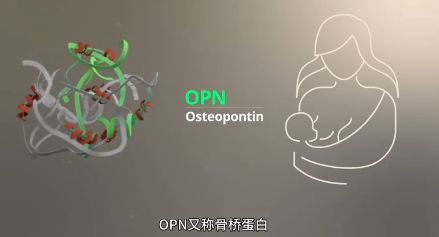 健合合生元與BINC首次開展云端研討會(huì) 揭秘LPN對嬰兒發(fā)育的影響