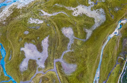 面對(duì)世界性草原沙化防治難題，極飛科技如何給出答案