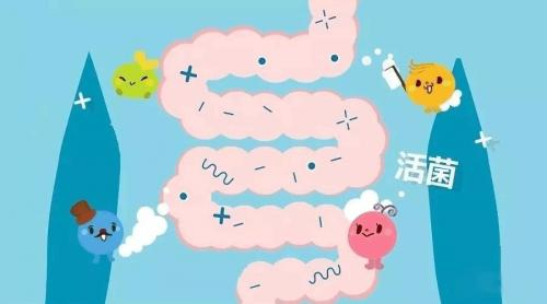 豈幽細(xì)化益生菌領(lǐng)域，精準(zhǔn)守護(hù)腸胃健康