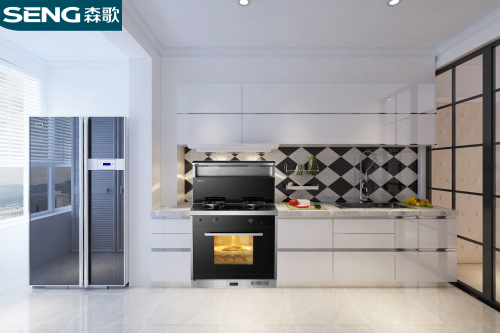 集成灶公認(rèn)10大品牌哪個(gè)好？618大促，森歌集成灶這么買更劃算