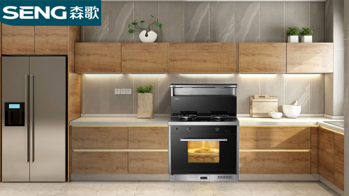 集成灶公認(rèn)10大品牌哪個(gè)好？618大促，森歌集成灶這么買更劃算