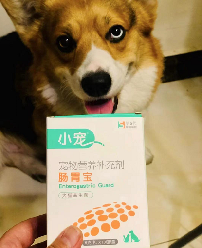 腸胃寶這款寵物益生菌究竟如何？我來(lái)說(shuō)說(shuō)小寵腸胃寶