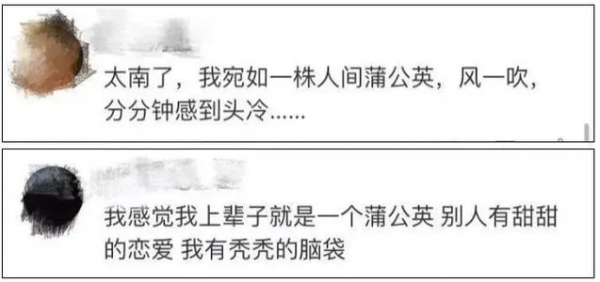 拒絕成為2.5億分之一，關(guān)注雍禾植發(fā)赴港IPO