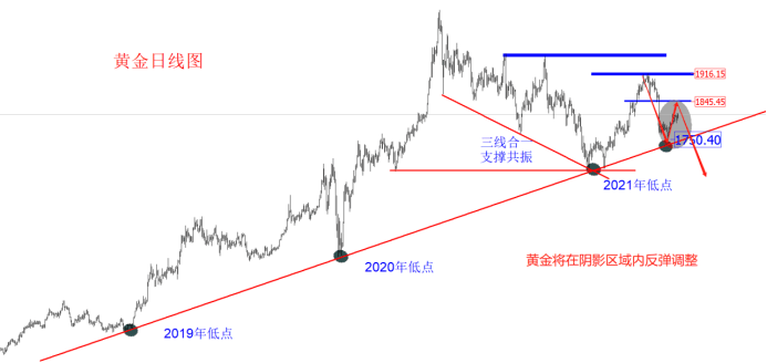 金十訪談間：7月22日領(lǐng)峰里昂老師，聚焦歐美縮表！