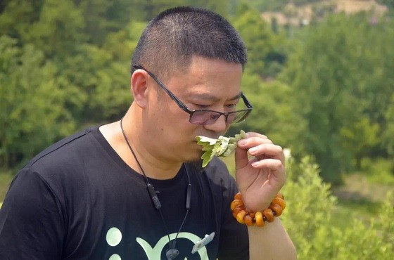 灸大夫捐贈價值300萬中醫(yī)艾灸設(shè)備，馳援河南災(zāi)后防疫！