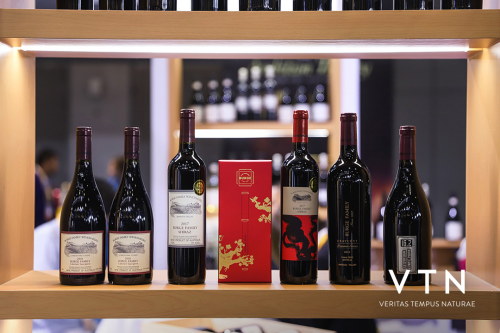 年輕人眼中的“好酒”是什么標準？VTN美酒憑什么火出圈？