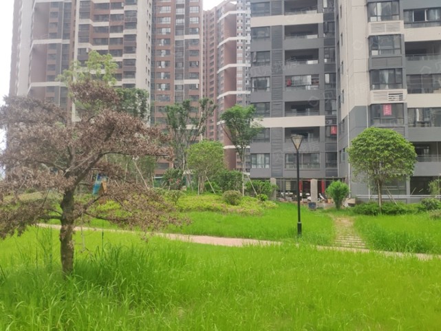 新星宇控股：人性化家居細(xì)節(jié)，盛放生活美好