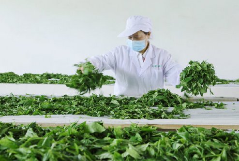 喜茶的“靈感之茶”又有新的突破了？