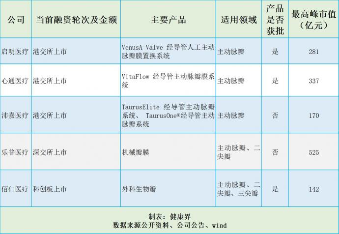 捍宇醫(yī)療“沖浪”TMVR黃金賽道，174億美元規(guī)模群雄逐鹿