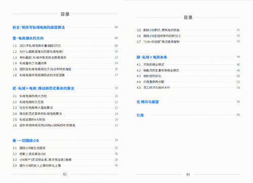 做興趣電商的抖音，做電商AI SaaS的鯨靈集團(tuán)蜂享家，他們的私域白皮書有何不同？