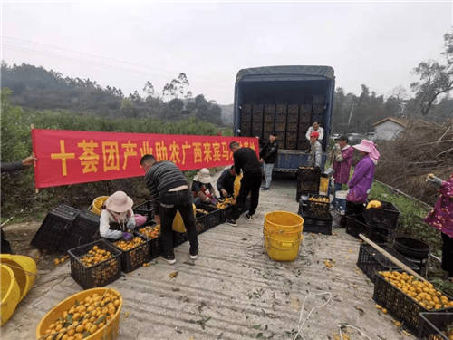 十薈團承擔(dān)社區(qū)團購企業(yè)責(zé)任，助力鄉(xiāng)村振興