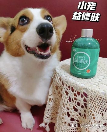 怕狗狗脫毛啦！我的小寵益修膚使用心得