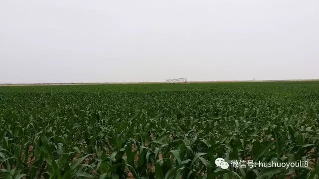 茫茫沙漠中，身價(jià)百億的他如釋重負(fù)！他特別提及，蒙牛總裁盧敏放是貴人！