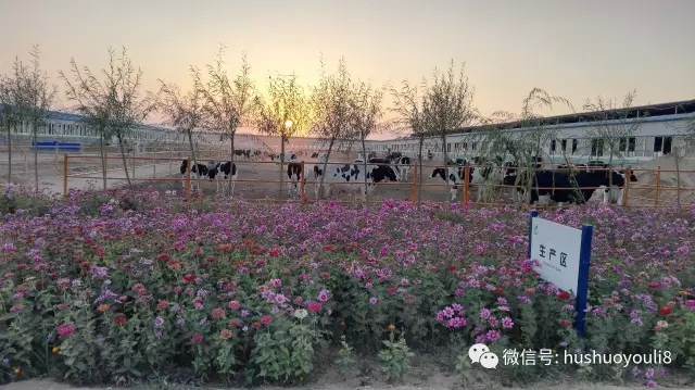 茫茫沙漠中，身價(jià)百億的他如釋重負(fù)！他特別提及，蒙?？偛帽R敏放是貴人！