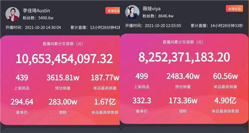 螞蟻PK大象，私域SaaS協同讓這個雙十一有點不一樣