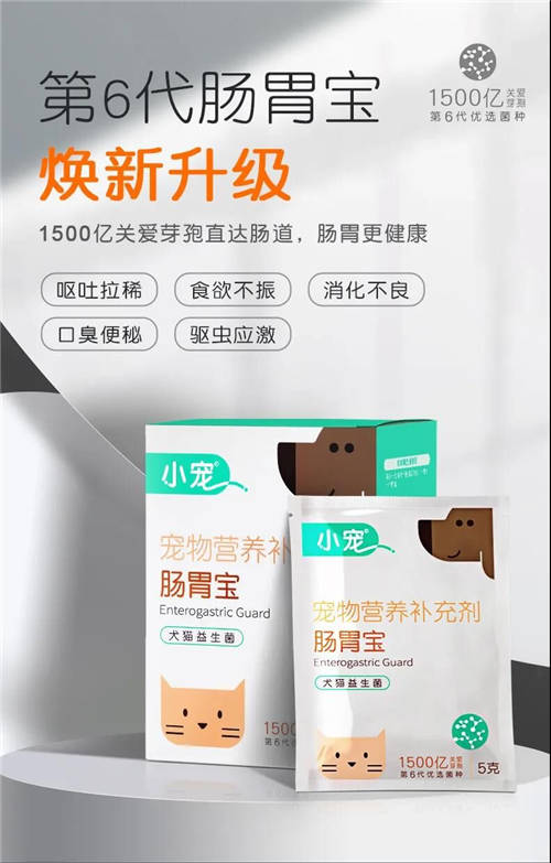 耐高溫、耐胃酸、耐膽鹽！小寵腸胃寶真正適合寵物的益生菌