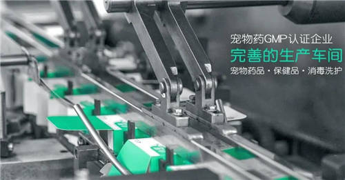 耐高溫、耐胃酸、耐膽鹽！小寵腸胃寶真正適合寵物的益生菌