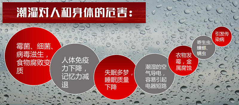 家用除濕機(jī)哪個(gè)品牌值得買？哪個(gè)型號(hào)性價(jià)比高？