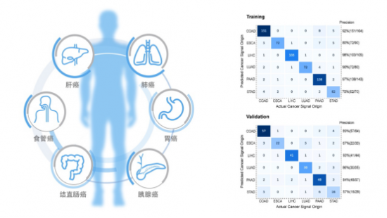 全病程管理基因檢測代表企業(yè)和瑞基因參加第二屆全國肝癌學(xué)術(shù)會議