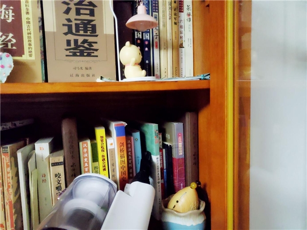 無(wú)線吸塵器什么牌子好？分享一款綜合實(shí)力不俗的明星產(chǎn)品