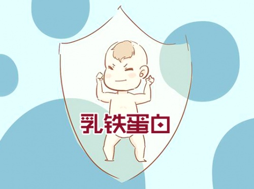 ?乳鐵蛋白奶粉哪個(gè)品牌好？這款荷蘭奶粉受到“皇家”認(rèn)可！