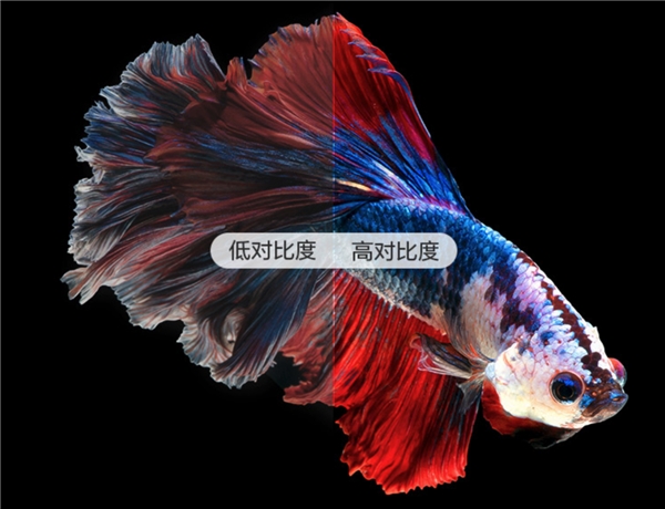 家用投影儀怎么選？奶爸告訴你答案
