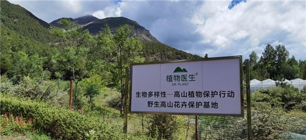 用長期主義譜寫公益之光，植物醫(yī)生堅持生物多樣性保護