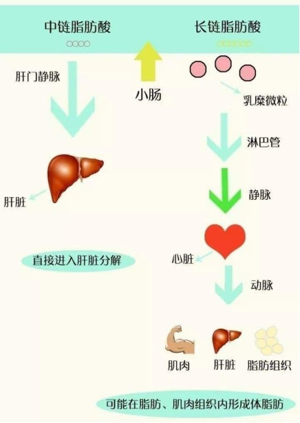 超模閃爆各品牌春季時裝周，玉鶴鳴助力輕盈狀態(tài)