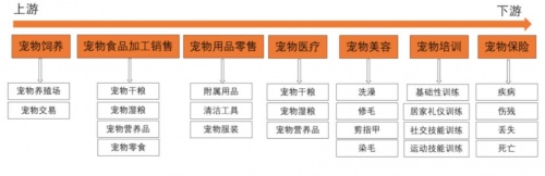 私域運(yùn)營專家探馬SCRM助力寵物行業(yè)構(gòu)建私域運(yùn)營，實(shí)現(xiàn)用戶增長(zhǎng)