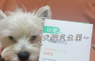 測評小寵腸胃寶 毛孩子的腸胃問題不可忽視！