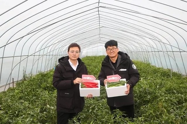 農業(yè)需要與現(xiàn)代化工業(yè)相結合，是王傳寶、李亭這兩位“90后”返鄉(xiāng)大學生的共識.jpg