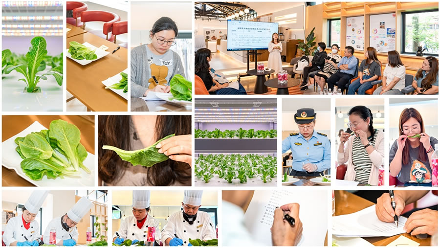 6月6日，15位大眾評審對決賽團隊種植的“翠恬”生菜進行試吃、打分，上海市長寧區(qū)市場監(jiān)管工作人員進行了現(xiàn)場快檢.jpg