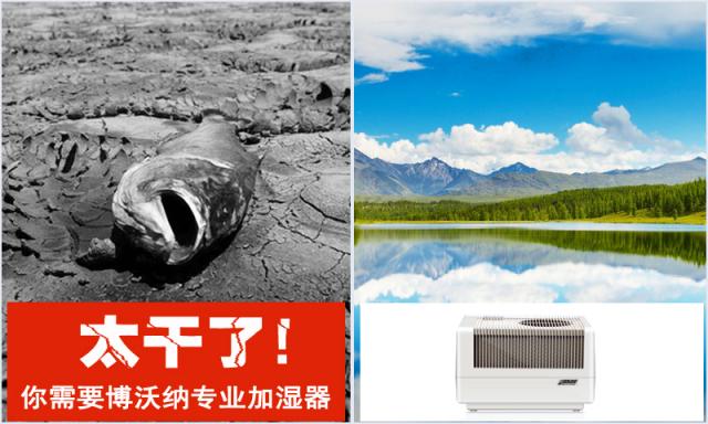 房間太干了，還能用什么加濕器？