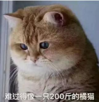 難說再見！LPL003姿態(tài)正式退役，老一代英雄聯(lián)盟玩家的回憶終將落幕？