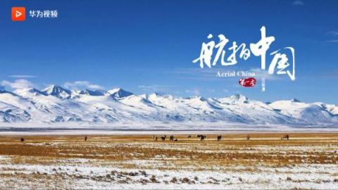 抓住新年的尾巴，華為視頻伴你共度元宵！