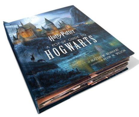 哈利·波特立體書《霍格沃茲》中文版面世，摩點預售引爆千萬哈迷搶購狂歡